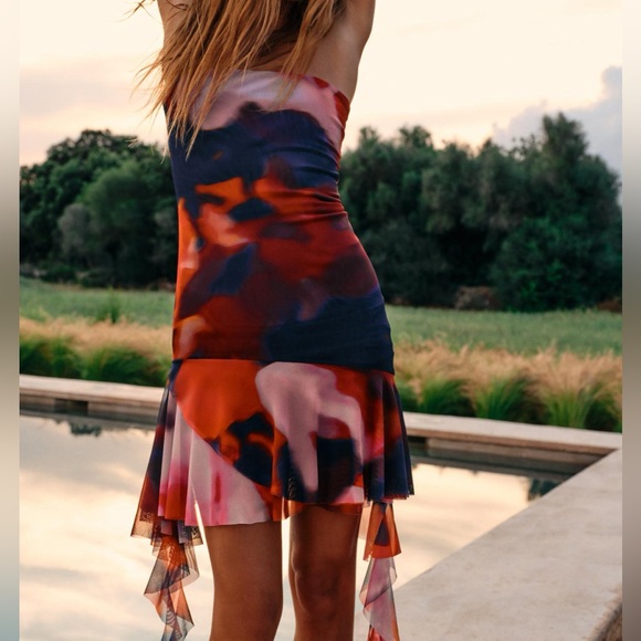 Zara Printed Tulle Dress - Picture 2 of 9